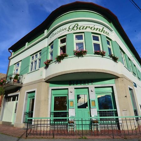 Baronka Bed & Breakfast & Bistrot Betliar エクステリア 写真
